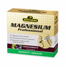 Magnesium Professional, Blackcurrant, 20x2,5 g